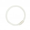 Sylvania T9 Amazgodamatbold FC32/840