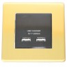 Toma doble USB de carga GOVENA MET2XUSBCHARGB-B Latón cepillado – Metal Line – vista 3