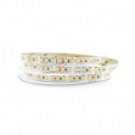 Ruban à LED 4000 Kelvin 5m  72W IP65 24V