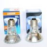 Halogenlampe PAR20 E27 50W 2900K IRC100 - EIKO HALOPAR 20 – Nahaufnahme