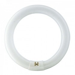 Tube fluorescent circulaire TL-E 32W 4000K G10q Super 80 - PHILIPS MASTER TL-E – autre vue