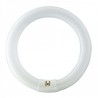 Κυκλικός σωλήνας φθορισμού TL-E 32W 4000K G10q Super 80 - PHILIPS MASTER TL-E – άλλη όψη