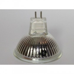 Ampoule PHILIPS ACCENTLINE 50W 12V 60D