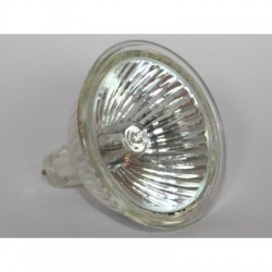 Ampoule PHILIPS ACCENTLINE 50W 12V 60D