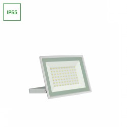 Projecteur LED étanche 50W 4500 lumen IP65 4000 Kelvin