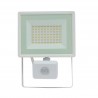 Projector 50W 4000K with motion sensor