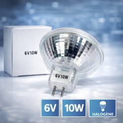 MR16 10W 6V