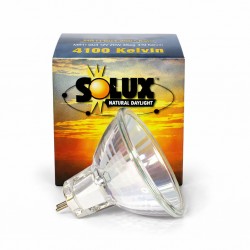 Lampadina alogena SOLUX 35W 4100K 36°