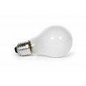 Ampoule A19 E27 40W 127V Frosted Rough Service – Lampe Incandescente Renforcée Usage Industriel