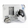 Halogeenlamp PHILIPS R63 60W 230V E27