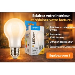 Ampoule LED filament Globe A60 E27 8W blanc chaud 2700K verre opale