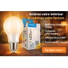 Ampoule LED filament Globe A60 E27 8W blanc chaud 2700K verre opale