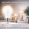 Светодиодная лампа LED Filament Milky A60 E27 8W 4000K 1055 lm Strasselec
