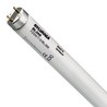 Blacklightbuis Sylvania F15W T5 G5 288mm 15W UV-A