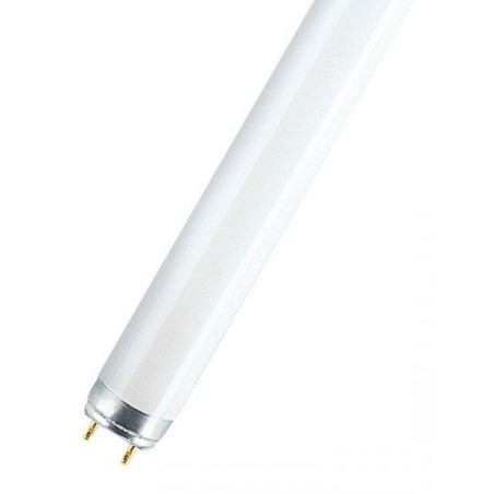 Λαμπτήρας φθορισμού NuLoXx T8 G13 1200mm 36W 840