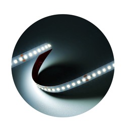 Striscia LED Modee DC24V 14,4W/m 160LED/m 10mm IP20 6000K CRI90 (1730 lm/m) B5