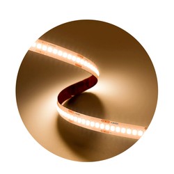 Светодиодная лента Modee DC24V 19,2W/m 240LED/m 10mm IP20 2700K CRI90 (2300 lm/m) B5