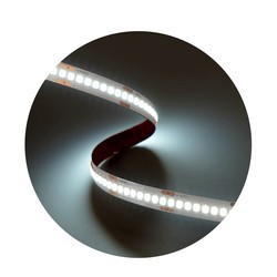 Светодиодная лента Modee DC24V 19,2W/m 240LED/m 10mm IP20 6000K CRI90 (2300 lm/m) B5