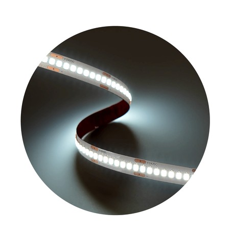 Ταινία LED Modee DC24V 19,2W/m 240LED/m 10mm IP20 6000K CRI90 (2300 lm/m) B5