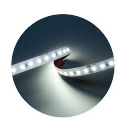 Tira LED Modee DC24V 9,6W/m 128LED/m 8mm IP20 6000K CRI90 (1150 lm/m) B5