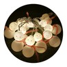 Catena luminosa LED natalizia a batterie Modee C1015 (10LED/1.35m/15cm) bianco caldo