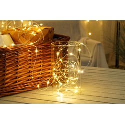 Guirlande LED fil de cuivre à piles Modee (100LED/5m/5cm) blanc chaud