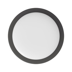 Ronde LED-bulkheadlamp Modee 24W 4000K (D240x38mm) IP65 (2160 lm) zwart