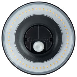 LED wall light Modee (LWL0015) 12W IP65 D160x60mm (1345 lm)