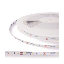Ruban LED Modee DC12V 4,8W/m 60LED/m 8mm IP20 2700K (540 lm/m) B30