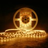 Ruban LED Modee DC12V 4,8W/m 60LED/m 8mm IP20 2700K (540 lm/m) B5