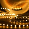Fita LED Modee DC12V 4,8W/m 60LED/m 8mm IP20 2700K (540 lm/m) B5