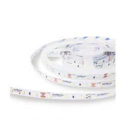 Ruban LED Modee DC12V 4,8W/m 60LED/m 8mm IP20 2700K (540 lm/m) B5