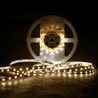 Tira LED Modee DC12V 4,8W/m 60LED/m 8mm IP20 4000K (540 lm/m) B5