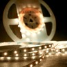 LED strip Modee DC12V 4,8W/m 60LED/m 8mm IP20 4000K (540 lm/m) B5