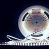Светодиодная лента Modee DC12V 4,8W/m 60LED/m 8mm IP20 6000K (540 lm/m) B30