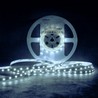 Ruban LED Modee DC12V 4,8W/m 60LED/m 8mm IP20 6000K (540 lm/m) B5
