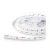 LED-strip Modee DC12V 4,8W/m 60LED/m 8mm IP20 6000K (540 lm/m) B5