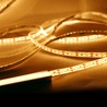Ruban LED Modee DC12V 9,6W/m 120LED/m 8mm IP20 2700K (1080 lm/m) B5