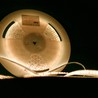 Fita LED Modee DC12V 9,6W/m 120LED/m 8mm IP20 4000K (1080 lm/m) B30