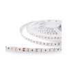 Taśma LED Modee DC12V 9,6W/m 120LED/m 8mm IP20 4000K (1080 lm/m) B5