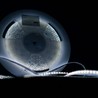 Taśma LED Modee DC12V 9,6W/m 120LED/m 8mm IP20 6000K (1080 lm/m) B30