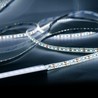 Taśma LED Modee DC12V 9,6W/m 120LED/m 8mm IP20 6000K (1080 lm/m) B30