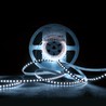 Ruban LED Modee DC12V 9,6W/m 120LED/m 8mm IP20 6000K (1080 lm/m) B5