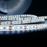 Fita LED Modee DC12V 9,6W/m 120LED/m 8mm IP20 6000K (1080 lm/m) B5
