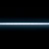 Ruban LED Modee DC12V 9,6W/m 120LED/m 8mm IP20 6000K (1080 lm/m) B5