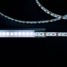 LED-Streifen Modee DC12V 9,6W/m 120LED/m 8mm IP20 6000K (1080 lm/m) B5