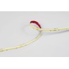LED strip Modee DC24V 10W/m COB-480LED/m 8mm IP20 4000K (1030 lm/m) B5