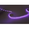 Tira LED Modee DC24V 14,4W/m 60LED/m 8mm IP20 RGB (360 lm/m) B5