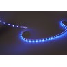 Fita LED Modee DC24V 14,4W/m 60LED/m 8mm IP20 RGB (360 lm/m) B5