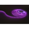 LED strip Modee DC24V 14,4W/m 60LED/m 8mm IP20 RGB (360 lm/m) B5